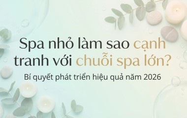 Spa Nhỏ Làm Sao Cạnh Tranh Với Chuỗi Spa Lớn? Bí Quyết Phát Triển Hiệu Quả ăm 2026